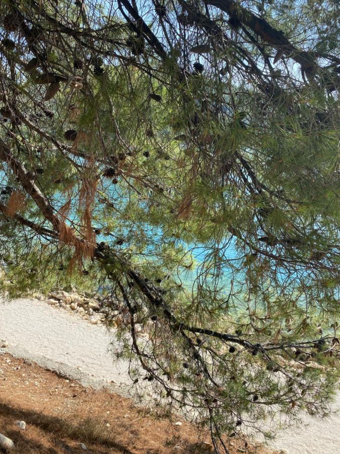 Villa Lovric Marina Εξωτερικό φωτογραφία